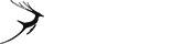授权中心正版的网页端ddos